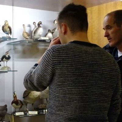 Collezione tassidermica della Provincia di Cuneo Immagine della collezione tassidermica